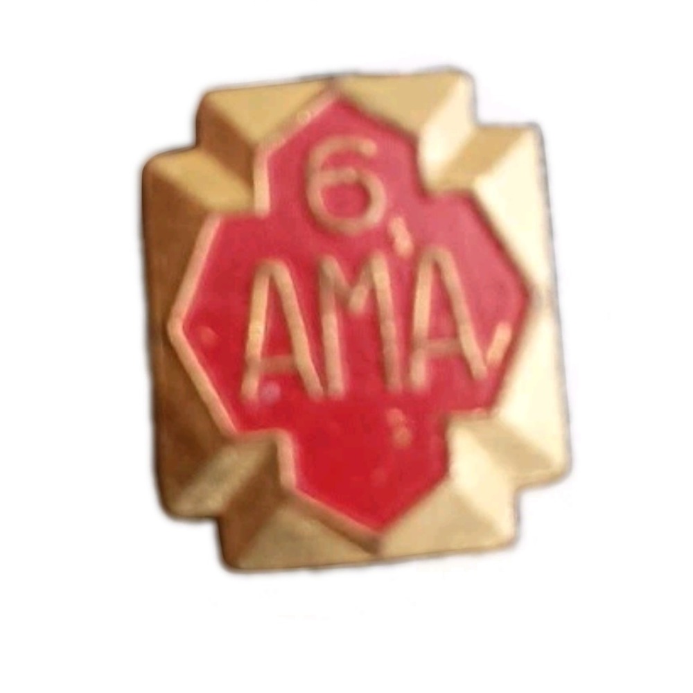 Vintage AMA American Motorcycle Association 6 Year Enamel Lapel Hat Pin Pinback
